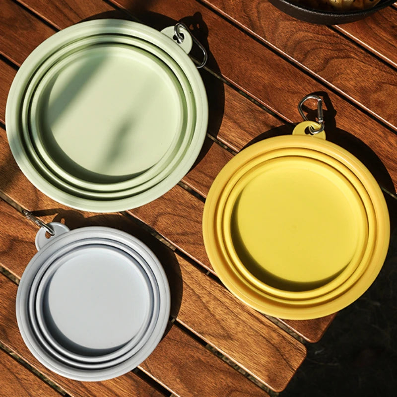 Silicone Travel Bowl