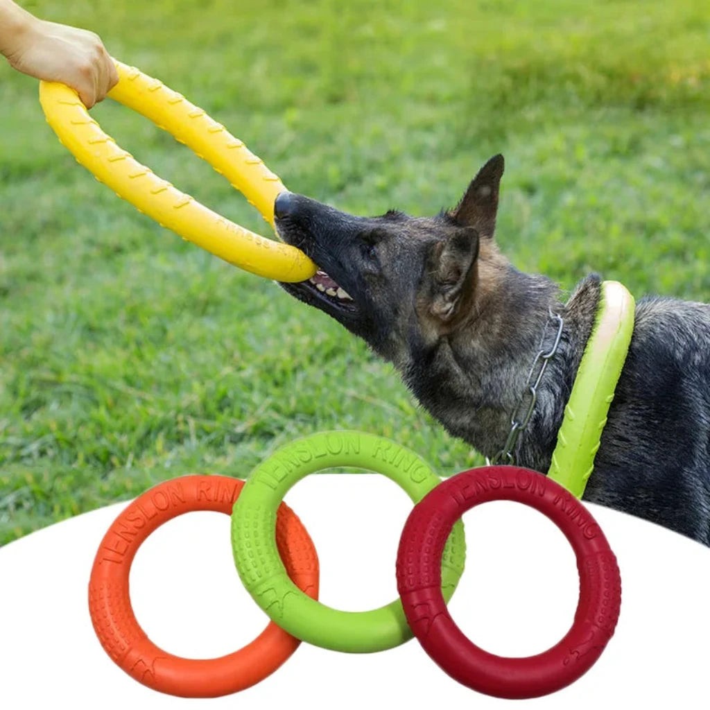 FlyCatch™ Dog Toy